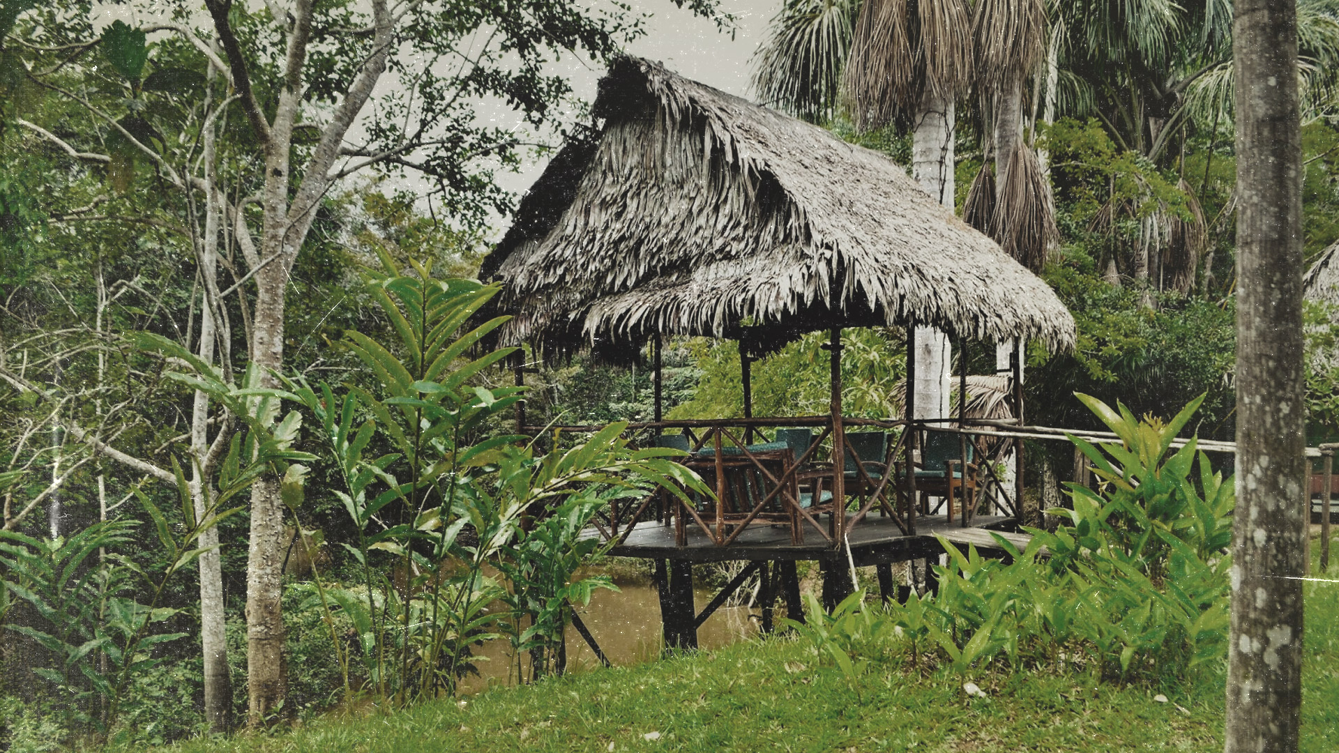 The jungle experience