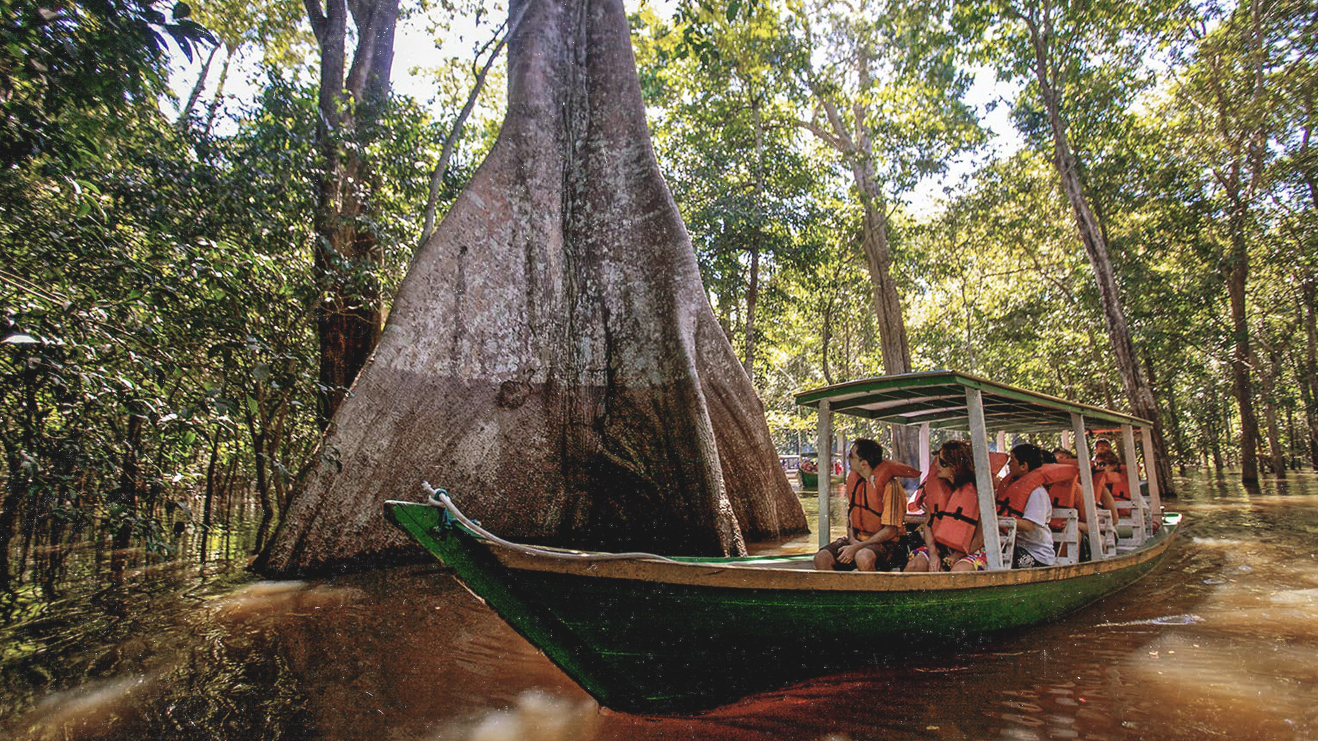 The jungle experience